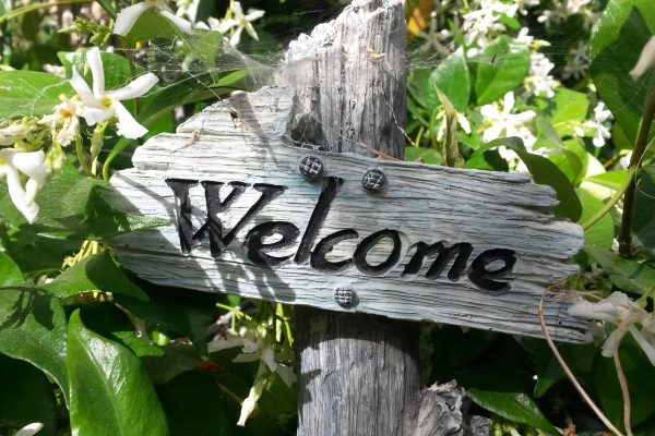 A wooden sign reading, "Welcome" sits in a patch of jasmine.