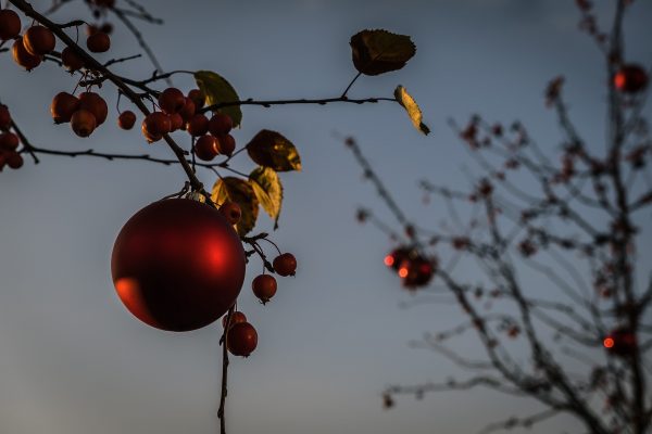 A single red ornament hangs on a tree branch, surrounded by red berries and green-brown leaves, with a pale blue sky in the background.