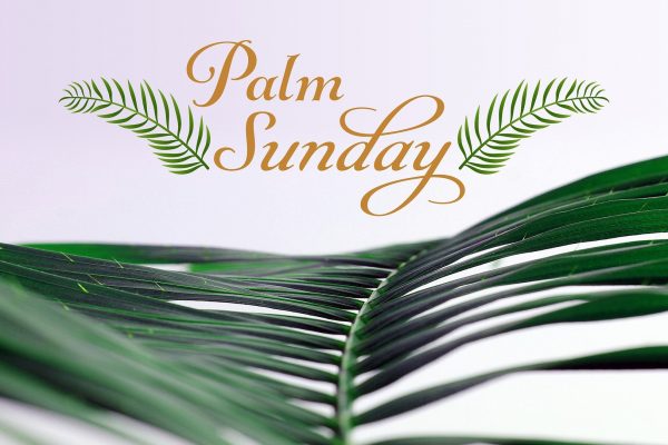 A dark green palm frond is set against a pale pink-white background with "Palm Sunday" written in orange cursive letters between two cartoon palms above. Image by Jeff Jacobs from Pixabay.