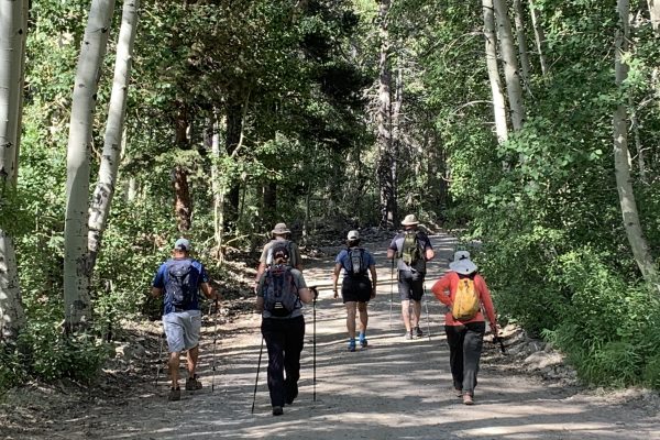 A photo taken from behind of six church members hiking on a dirt trail through a lush green forest.