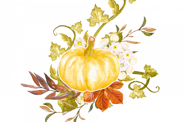 A drawing of a small yellow pumpkin amidst vines and leaves. Three pale green vines wind behind and around the pumpkin. Orange and purple leaves stick out from under the front. Image via PIxabay.