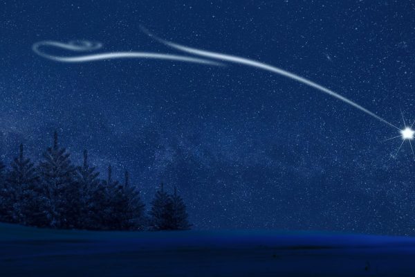 A graphic of a dark blue night sky, lit up by a shooting star. The star itself is on the right side of the image, with a white trail streaming out behind it. The rest of the sky is dotted with smaller white stars. There are black trees visible along the left side of the image, ending in the center. The ground the borders the bottom of the image is also black.