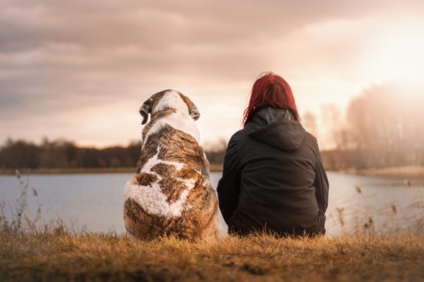 A person with long red hair and a black coat sits next to a brown and white spotted dog. The dog is on the left and the person is on the right. They are sitting on the brown grassy bank of a blue lake on a cloudy day. Some sunlight is visible in the upper right corner. Image via Pixabay.