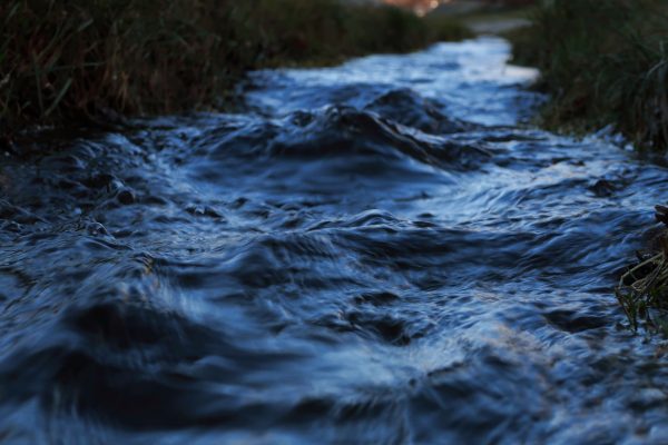 A rushing blue river fills most of the frame. Dark green and brown blades of grass line both banks. The water in the distant background of the photo appears lighter than the water in the foreground. Image via Pixabay.