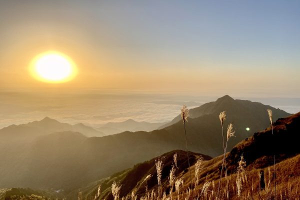 An early morning mountain vista. The mountains in the foreground are covered in green and brown vegetation, with tall tan springs of grass visible along the bottom edge of the image. Another mountain range is visible in the distance; the horizon beyond it is covered in thick white clouds. The rising sun is visible along the left edge of the horizon. Image via Pixabay.