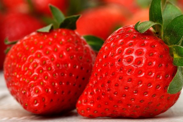 Two bright red strawberries sit on a pale gray surface. They have dark green leaves; the edges of the leaves are lines with small hairs. Other strawberries are visible in the background, although they are out of focus. Image via Pixabay.