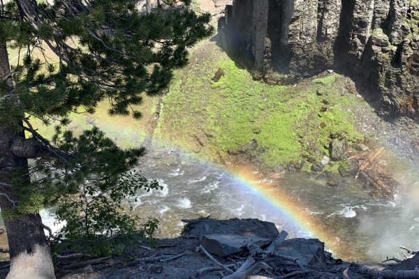 A vibrant rainbow stretches across a valley in the forest. The picture is taken from one of the cliff faces looking down onto the river below. A pine tree sits to the left of the photographer. The green river bank and craggy brown cliff face on the other side of the valley are visible behind the rainbow.