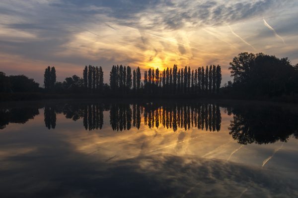 The sun rises behind a row of trees that line a body of water, their reflection perfectly mirrored in the water. The sky is covered in thin clouds and swirled in white, pink, gold, and blue. Image via Pixabay.