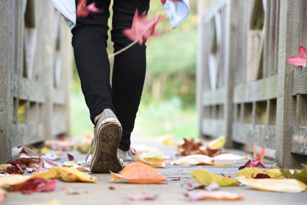 A person wearing black plants and gray Converse shoes walks along a bridge amid falling leaves. The person is seen from behind mid-stride. The edges of a pale blue long shirt are visible at the top of the image. The leaves are various colors: Red, yellow, orange, and brown. Image via Pixabay.