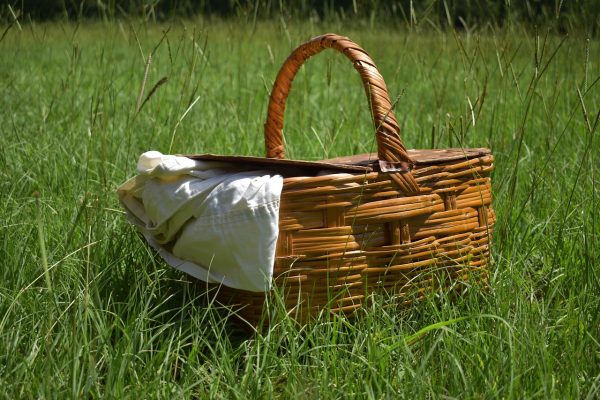 A brown wicker picnic basket sits in a field of tall green grass. It is a sunny day. A folded off-white sheet pokes out of one side of the basket. Image via Pixabay.